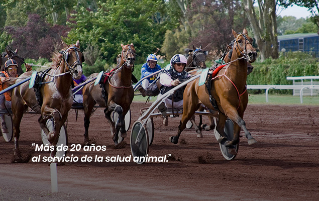 Diagrama articulación