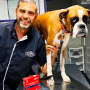 Gustavo Borrajo - Médico Veterinario